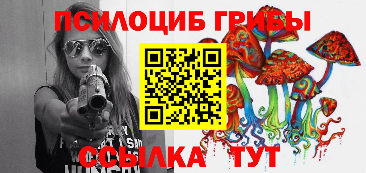 Галлюциногенные грибы Psilocybe Тавда
