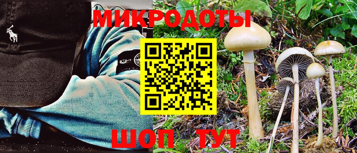 что такое наркотик  Псилоцибиновые грибы мухоморы  Псилоцибиновые грибы Magic Shrooms  Вход с VPN  Тавда 
